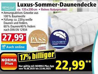 Luxus-Sommer-Daunendecke