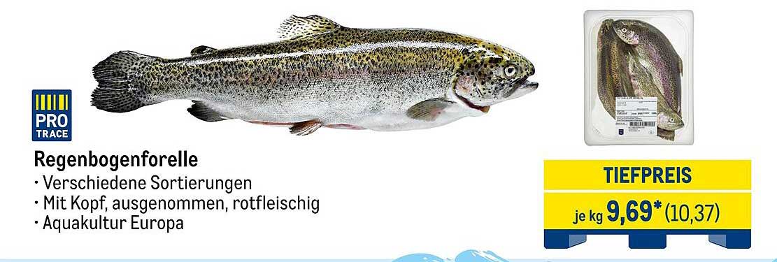 Regenbogenforelle – Frisch und lecker aus Aquakultur Europa
