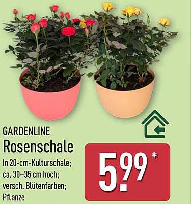 GARDENLINE Rosenschale
