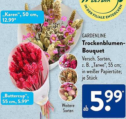 GARDENLINE Trockenblumen-Bouquet