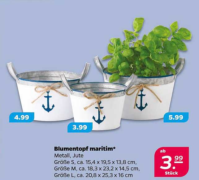 Blumentopf maritim*