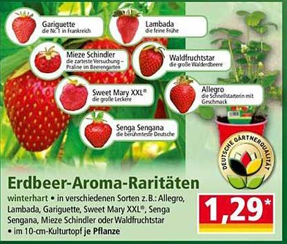 Erdbeer-Aroma-Raritäten