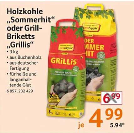 Holzkohle „Sommerhit“ oder Grill-Briketts „Grillis“