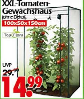 XXL-Tomaten-Gewächshaus (ohne Dicköl) 100x50x150cm