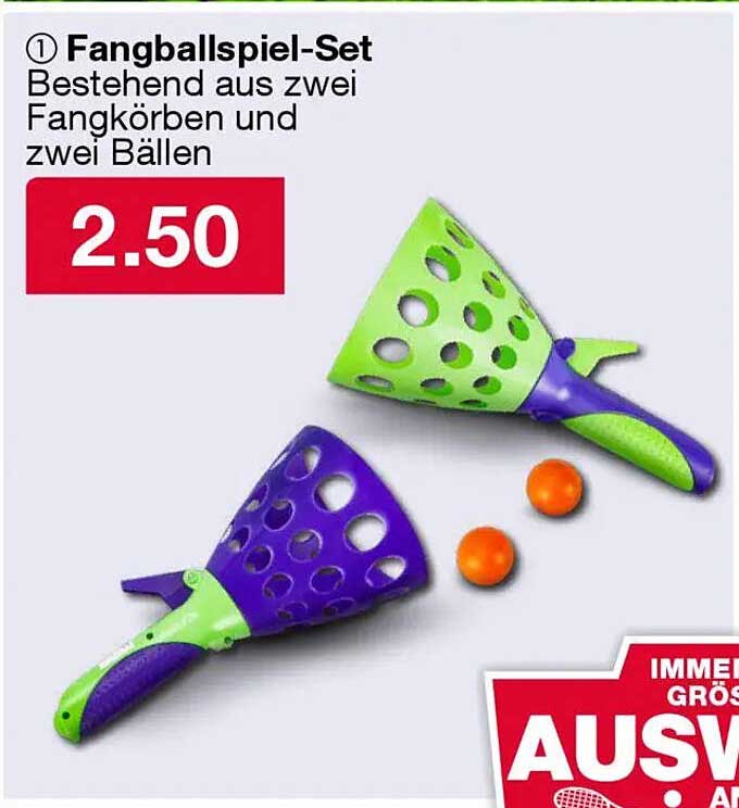 Fangballspiel-Set bestehend aus zwei Fangkörben und zwei Bällen