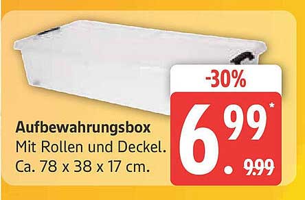 Aufbewahrungsbox mit Rollen und Deckel