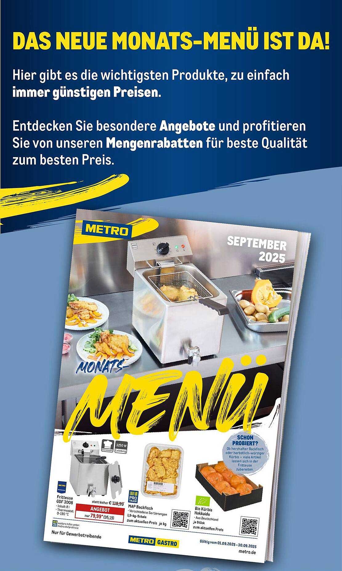 Fritteuse GDF 300 B - Ideal für Ihren Gastronomiebetrieb