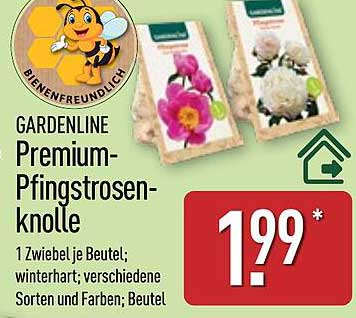 GARDENLINE Premium-Pfingstrosenknolle
