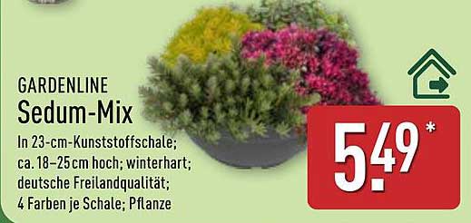 GARDENLINE Sedum-Mix