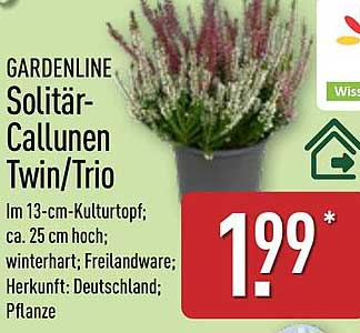 GARDENLINE Solitär-Callunen Twin/Trio
