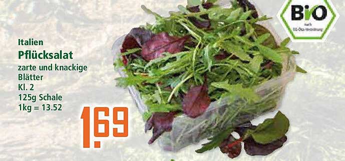 Italien Pflücksalat – zarte und knackige Blätter
