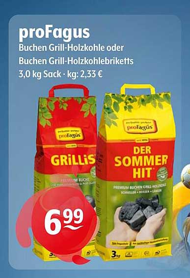 proFagus Buchen Grill-Holzkohle oder Buchen Grill-Holzkohlebriketts 3,0 kg Sack