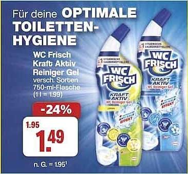 WC Frisch Kraft Aktiv Reiniger Gel 750 ml - verschiedene Sorten