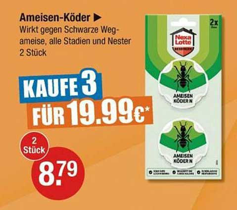 Ameisen-Köder - Effektive Lösung gegen Schwarze Wegameisen