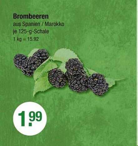 Brombeeren aus Spanien/Marokko je 125-g-Schale