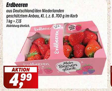 Erdbeeren aus Deutschland/den Niederlanden – frisch und lecker!