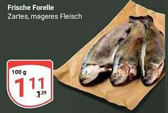 Frische Forelle - Zartes, mageres Fleisch
