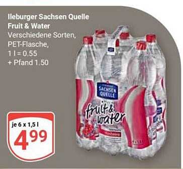 Ileburger Sachsen Quelle Fruit & Water, 6 x 1,5 l