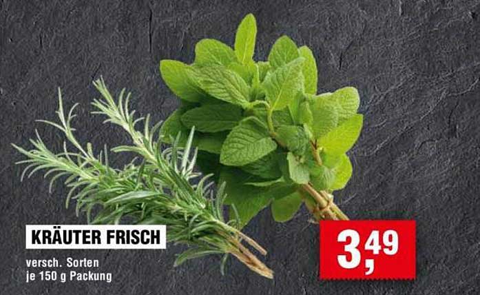 Kräuter frisch - verschiedene Sorten je 150 g Packung