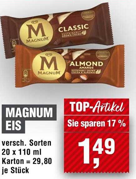 MAGNUM EIS - versch. Sorten 20 x 110 ml