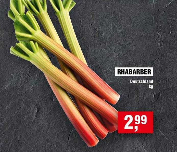 RHABARBER Deutschland