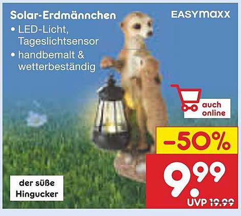 Solar-Erdmännchen mit LED-Licht – jetzt zum halben Preis!