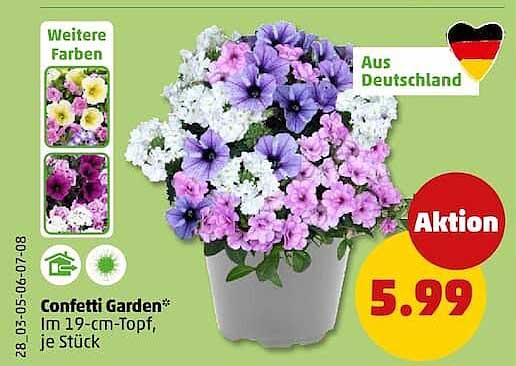 Confetti Garden* Im 19-cm-Topf, je Stück