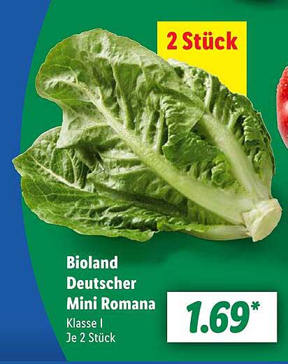Bioland Deutscher Mini Romaine – 2 Stück