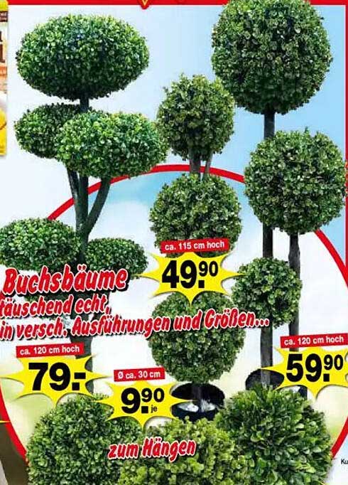 Buchsbaum künstlich, täuschend echt in verschiedenen Ausführungen und Größen