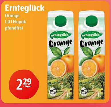 Ernteglück Orange 1,0l Elopak pfandfrei