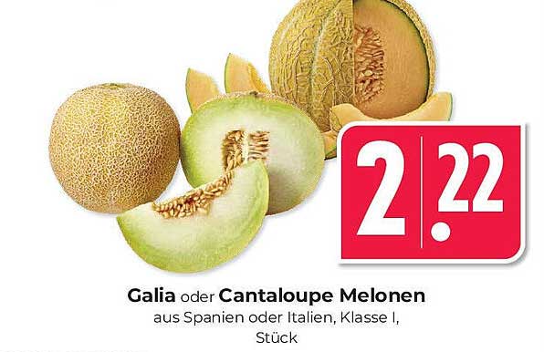 Galia oder Cantaloupe Melonen aus Spanien oder Italien, Klasse I, Stück