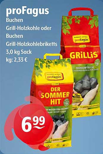 proFagus Buchen Grill-Holzkohle oder Buchen Grill-Holzkohelbriketts 3,0 kg Sack