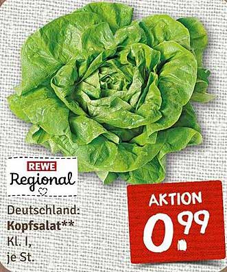 REWE Regional Kopf- salat - Frische aus Deutschland