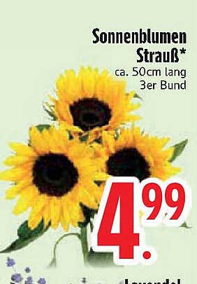 Sonnenblumen Strauß* ca. 50cm lang 3er Bund