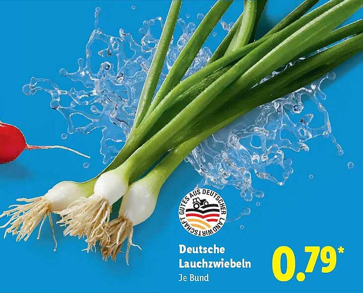 Deutsche Lauchzwiebeln Je Bund