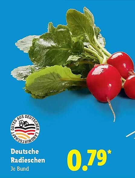 Deutsche Radieschen Je Bund