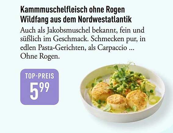 Kammmuschelfleisch ohne Rogen Wildfang aus dem Nordwestatlantik