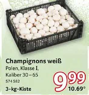 Champignons weiß - 3-kg-Kiste aus Polen, Klasse I