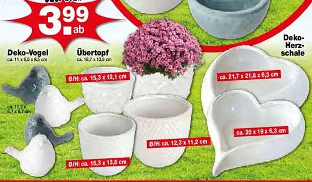 Deko-Vogel und Übertöpfe ab 3,99 €
