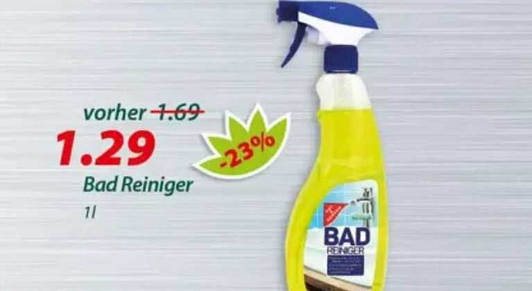 Bad Reiniger