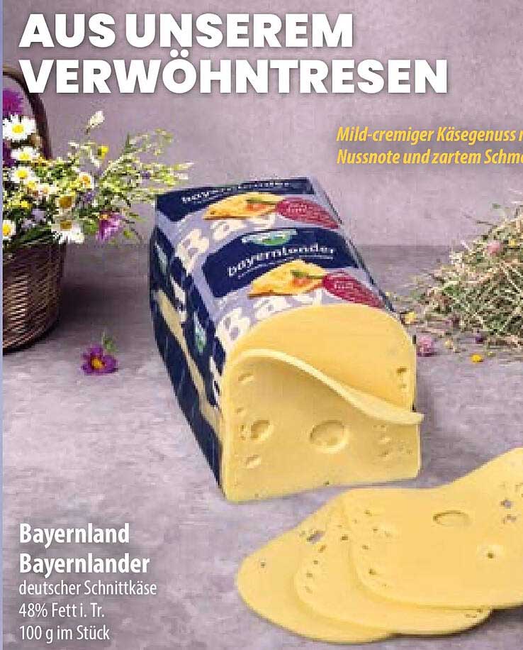 Bayernland Bayernlander deutscher Schnittkäse 48% Fett i. Tr. 100 g im Stück