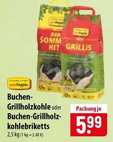 Buchen-Grillholzkohle oder Buchen-Grillholzkohlebriketts