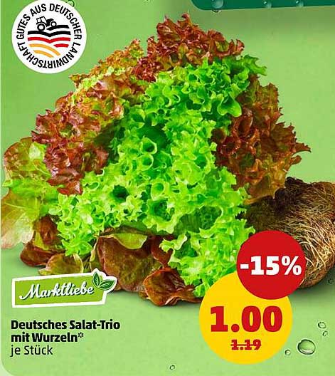 Deutsches Salat-Trio mit Wurzeln* je Stück