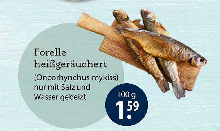 Forelle heißgeräuchert (Oncorhynchus mykiss) nur mit Salz und Wasser gebeizt