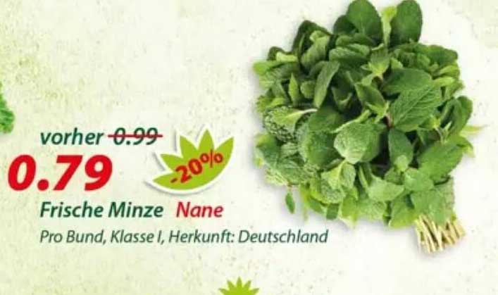 Frische Minze Nane