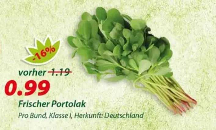 Frischer Portolak