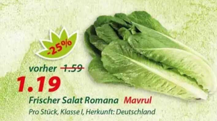 Frischer Salat Romana Mavrol