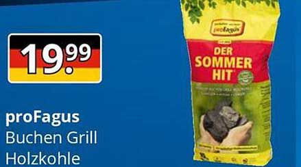 proFagus Buchen Grill Holzkohle