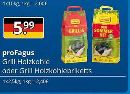 proFagus Grill Holzkohle oder Grill Holzkohlebriketts