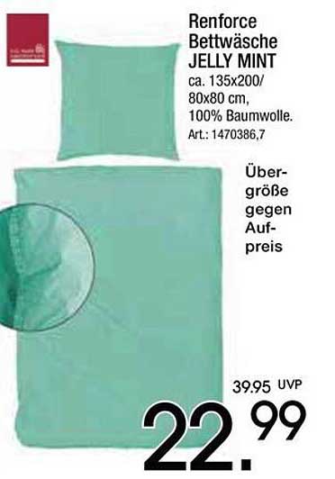 Renforce Bettwäsche JELLY MINT